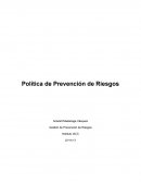 Política de Prevención de Riesgos Gestión de Prevención de Riesgos