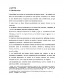 Amparo directo e indirecto: Características, excepciones y procedimientos