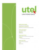 Competencias Gerenciales - Saul Palacios Vidal