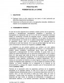 PRACTICA Nº8 PIGMENTOS DE LA CARNE