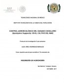 CONTROL AGROECOLÓGICO DEL GUSANO COGOLLERO (Spodoptera frugiperda) EN EL CULTIVO DEL MAÍZ