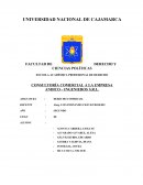 CONSULTORÍA COMERCIAL A LA EMPRESA ANDICO – INGENIEROS S.R.L.