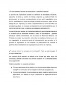 ¿En qué consiste el proceso de organización? Comparte un ejemplo
