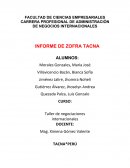 INFORME DE ZOFRA TACNA