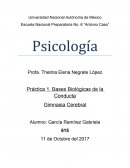 Gimnasia cerebral-Psicología