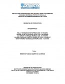 PROYECTO GERENCIA DE PRODUCCION