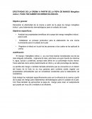 EFECTIVIDAD DE LA CREMA A PARTIR DE LA PEPA DE MANGO Mangifera indica l. PARA TRATAMIENTOS DERMATOLÓGICOS .