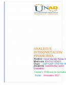 Interpretacion fianciera