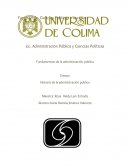 Como es el Ensayo de administracion publica