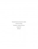 Formulación y evaluación de Proyecto.