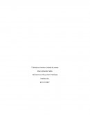 El trabajo en terreno o trabajo de campo