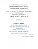 Ensayo de practicas profecionales
