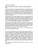 Resumen Impacto de la irrigación de aguas municipales tratadas en nabo.