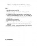 Análisis de las variables microeconómicas de la empresa