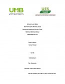 DISEÑO DE LA BASE DE DATOS