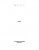 Escuela de enfermería Ensayo Nurse:4000