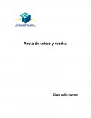 Pauta de cotejo y rubrica