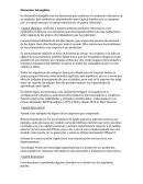 Elementos Intangibles