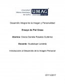Desarrollo Integral de la Imagen y Personalidad Ensayo de Piel Grasa