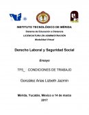 Cuales son las Condiciones de trabajo