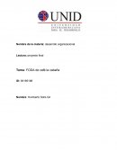 FODA de café la cabaña