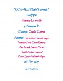 Geografía Proyecto: La erosión