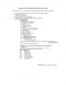 ESQUEMA DE TESIS DESARROLLO DE SOFTWARE