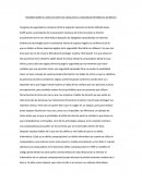 RESUMEN SOBRE EL VIDEO DE ASPECTOS LEGALES DE LA SEGURIDAD INFORMÁTICA EN MÉXICO