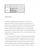 Ensayo de Marketing Operativo