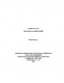 TECNOLOGÍA EN GESTIÓN AMBIENTAL INDUSTRIAL
