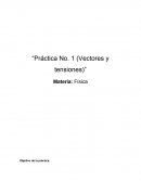 Práctica No. 1 (Vectores y tensiones) Materia: Física