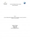 El nuevo Primer ensayo ib