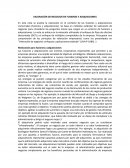 VALORACIÓN DE NEGOCIOS EN FUSIONES Y ADQUISICIONES