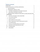 CARÁCTER VINCULANTE DE LA DOCTRINA JURISPRUDENCIAL