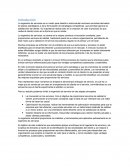 Como es la Ingeniería de servicio