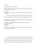 ATENCION A ESCOLARES CON DIABETES