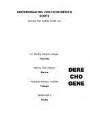 PERSONAS FISICAS Y MORALES. Ejercicios