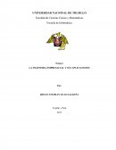 LA INGENERIA EMPRESARIAL Y SUS APLICACIONES