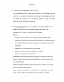 Caso Crocs. Objetivos