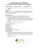 PROYECTO PARA LA PRODUCCION DE AGUACATE HASS. (PERSEA AMERICANA)