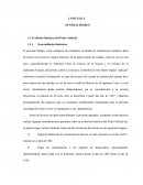 CAPITULO I. GENERALIDADES. Evolución histórica del Poder Judicial