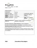 Manual del puesto gerente