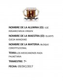 LOS MEXICANOS RAZA PLANETARIA