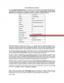 Carta responsiva de vehiculo