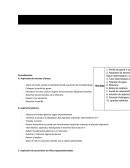 PRACTICO Nº21: ASPIRACION DE SECRECIONES A RECIEN NACIDO Y NIÑO