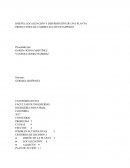 DISEÑO, LOCALIZACIÓN Y DISTRIBUCIÓN DE UNA PLANTA