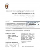 DETERMINACIÓN DE LOS PARAMETROS PRINCIPALES QUE INFLUYEN EN LA FLUIDIZACIÓN