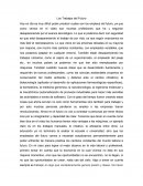 Ensayo sobre los Trabajos del futuro