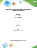 BALANCE MÁSICO Y ENERGÉTICO EN PROBLEMÁTICAS AMBIENTALES PRESENTACIÓN DEL PRE INFORME