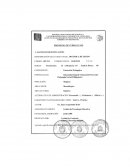 Ejemplo de una nuevo Plan de curso